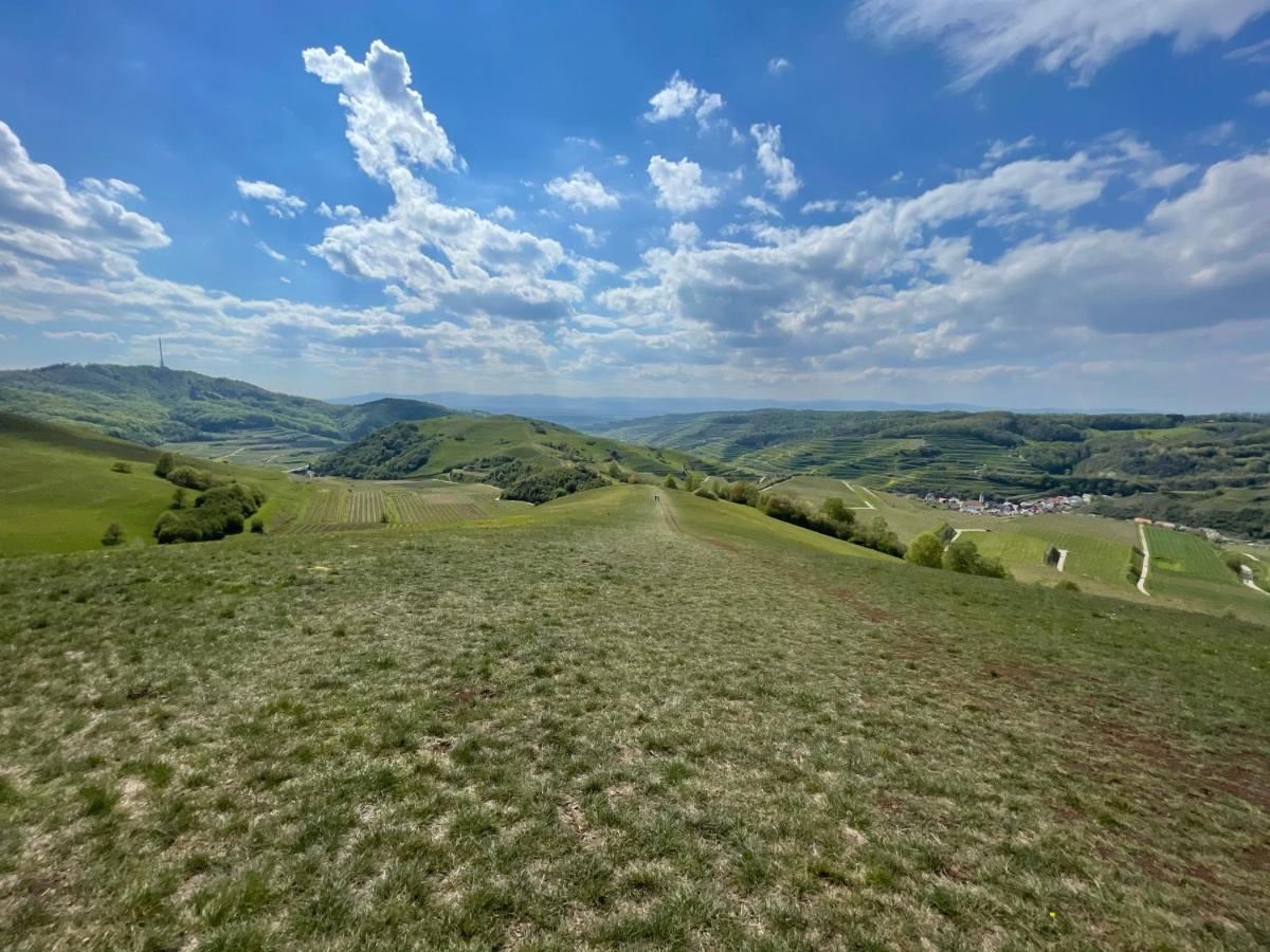 Appartement Weingut & Strausswirtschaft Vogel à Vogtsburg im Kaiserstuhl Extérieur photo