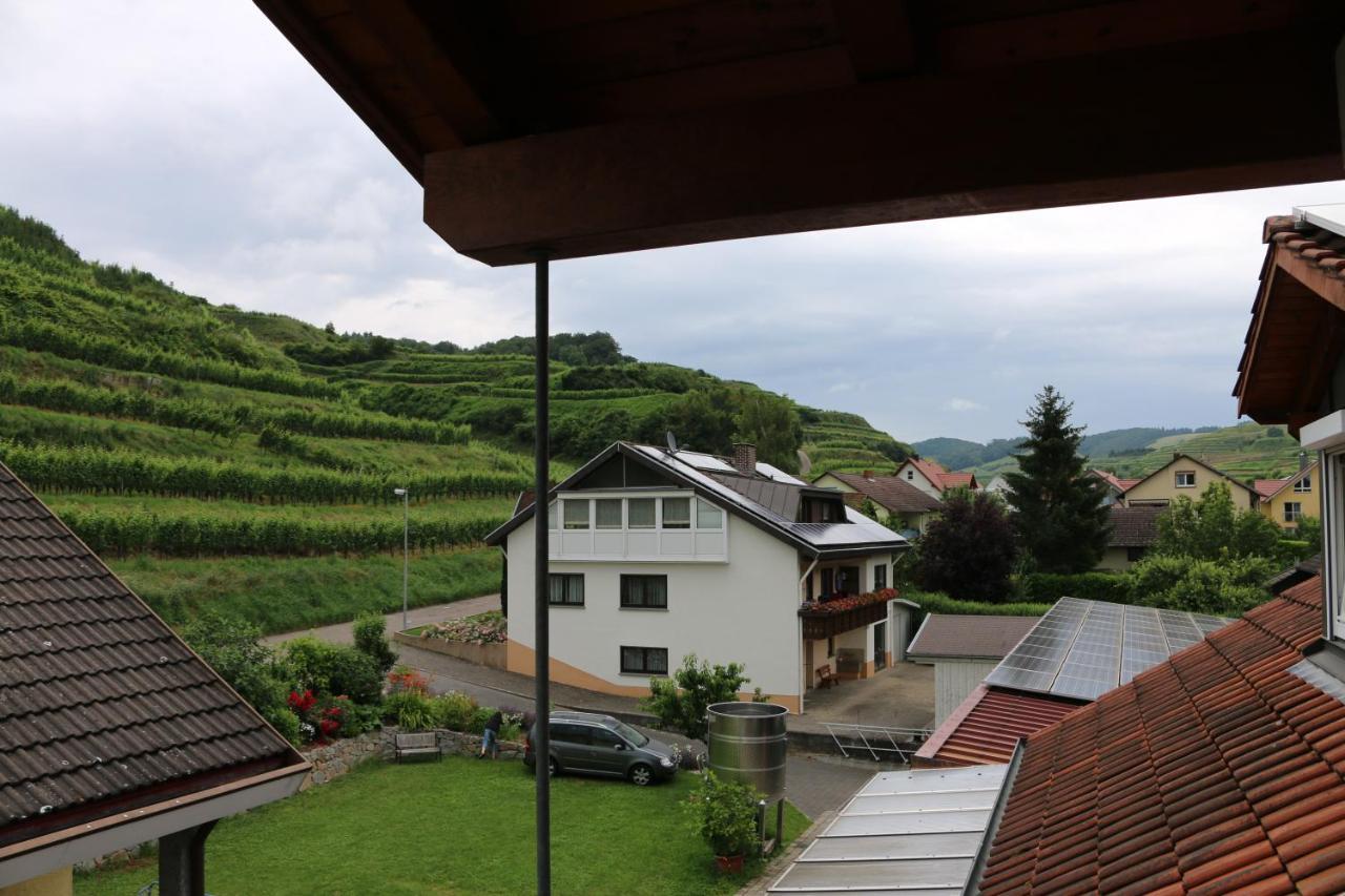 Appartement Weingut & Strausswirtschaft Vogel à Vogtsburg im Kaiserstuhl Extérieur photo