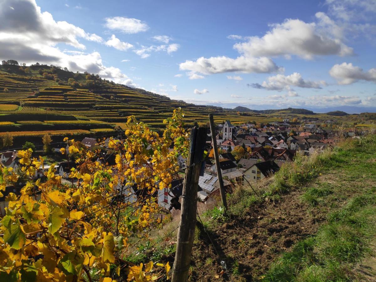 Appartement Weingut & Strausswirtschaft Vogel à Vogtsburg im Kaiserstuhl Extérieur photo