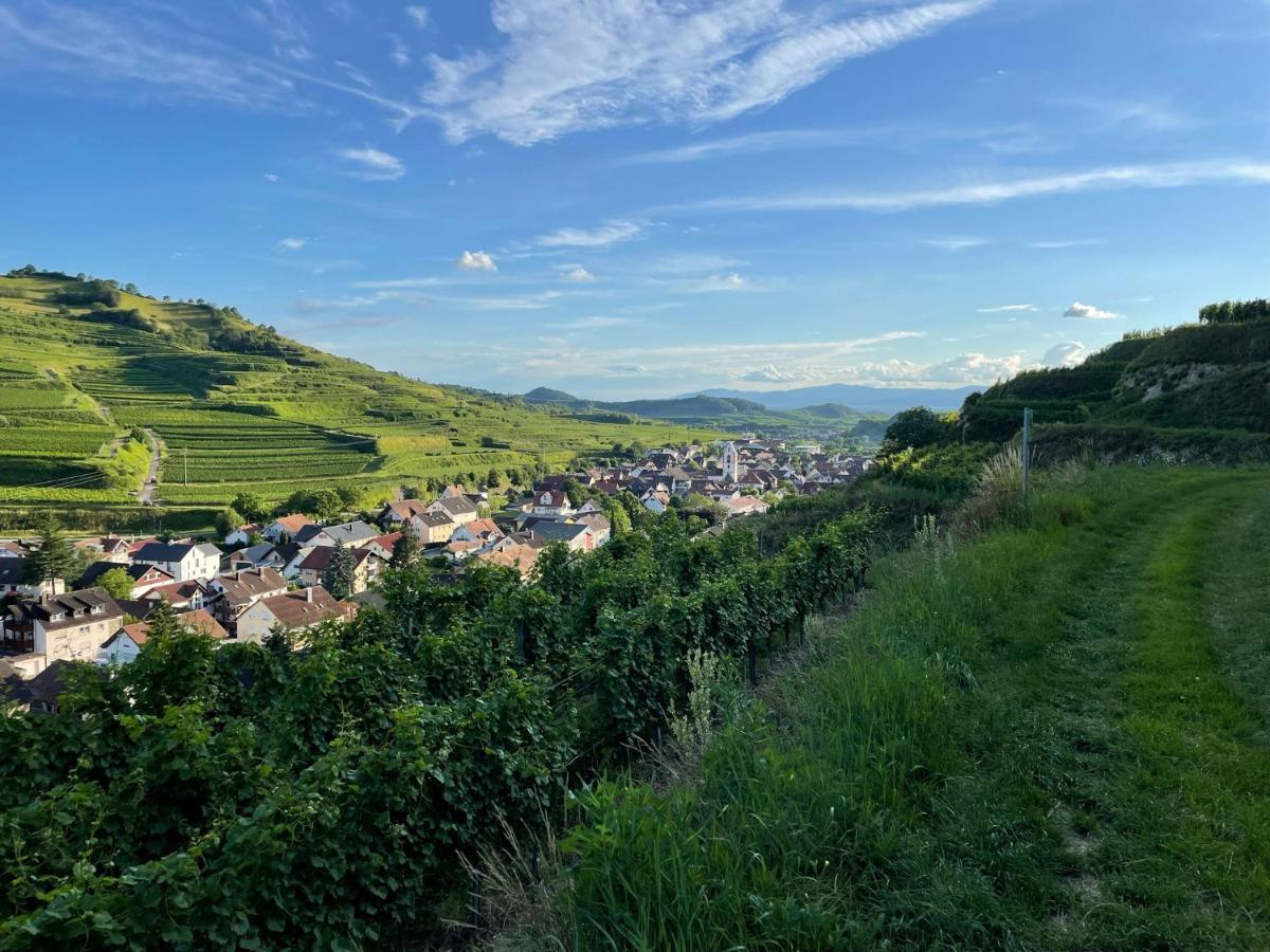 Appartement Weingut & Strausswirtschaft Vogel à Vogtsburg im Kaiserstuhl Extérieur photo