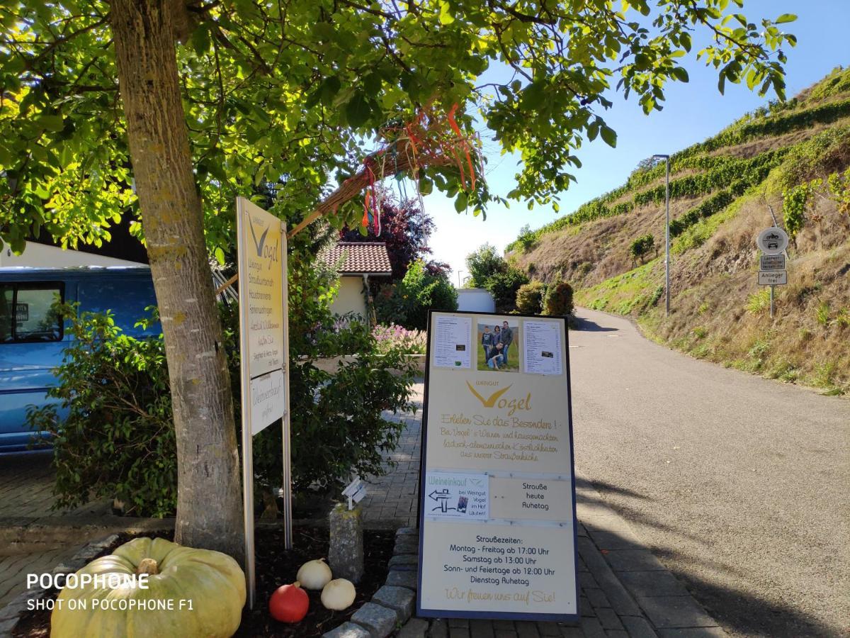 Appartement Weingut & Strausswirtschaft Vogel à Vogtsburg im Kaiserstuhl Extérieur photo