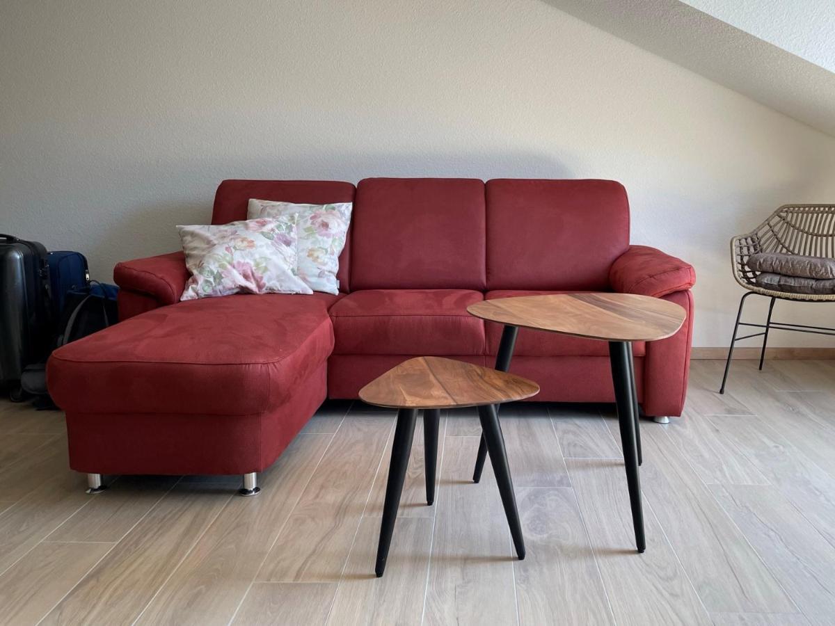 Appartement Weingut & Strausswirtschaft Vogel à Vogtsburg im Kaiserstuhl Extérieur photo