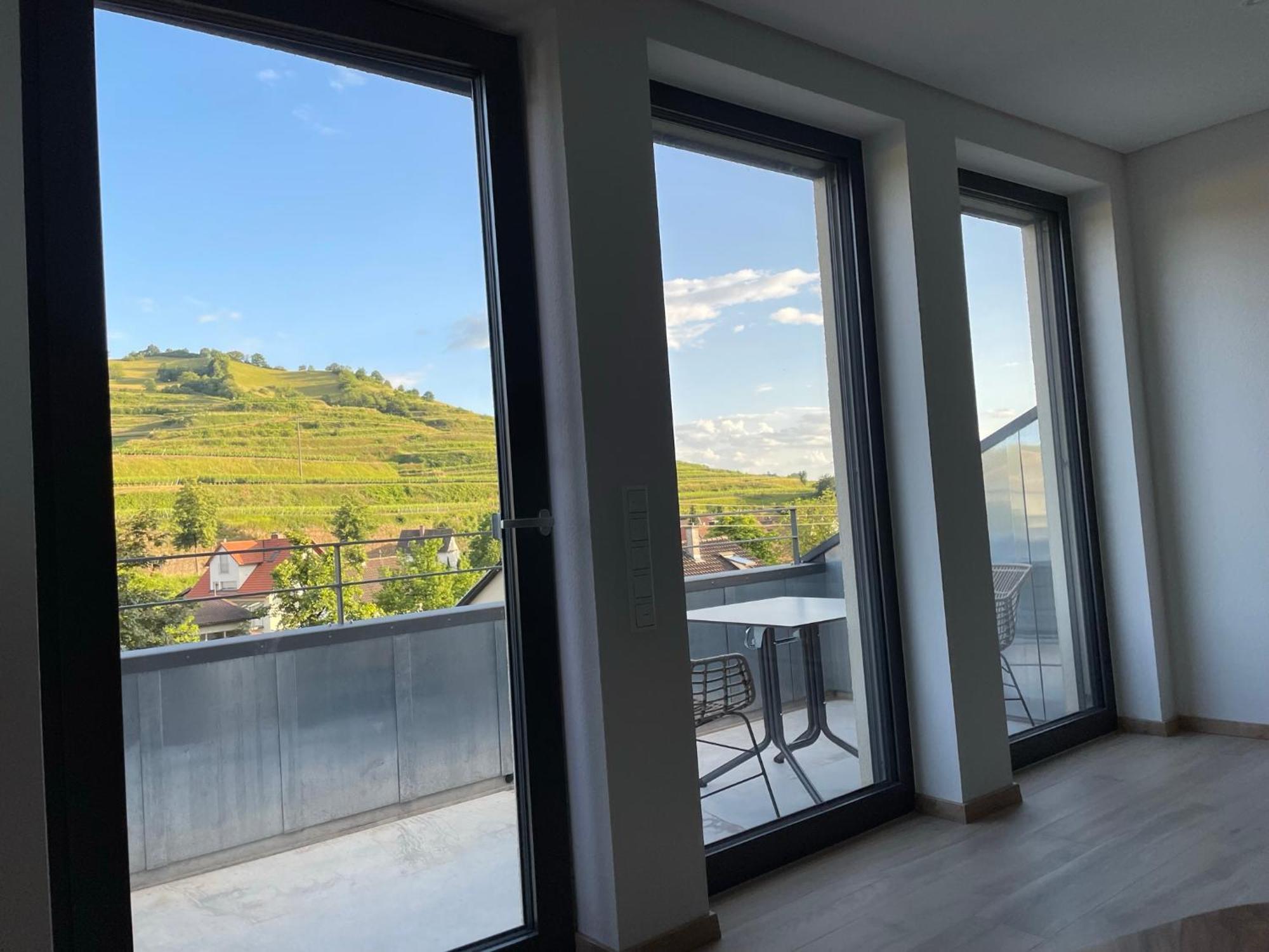 Appartement Weingut & Strausswirtschaft Vogel à Vogtsburg im Kaiserstuhl Extérieur photo