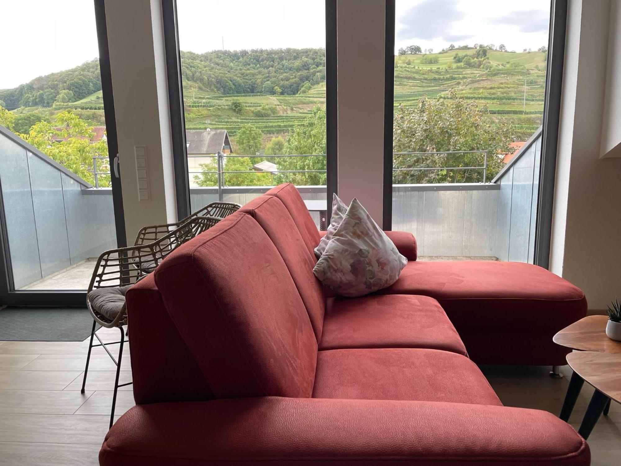 Appartement Weingut & Strausswirtschaft Vogel à Vogtsburg im Kaiserstuhl Extérieur photo