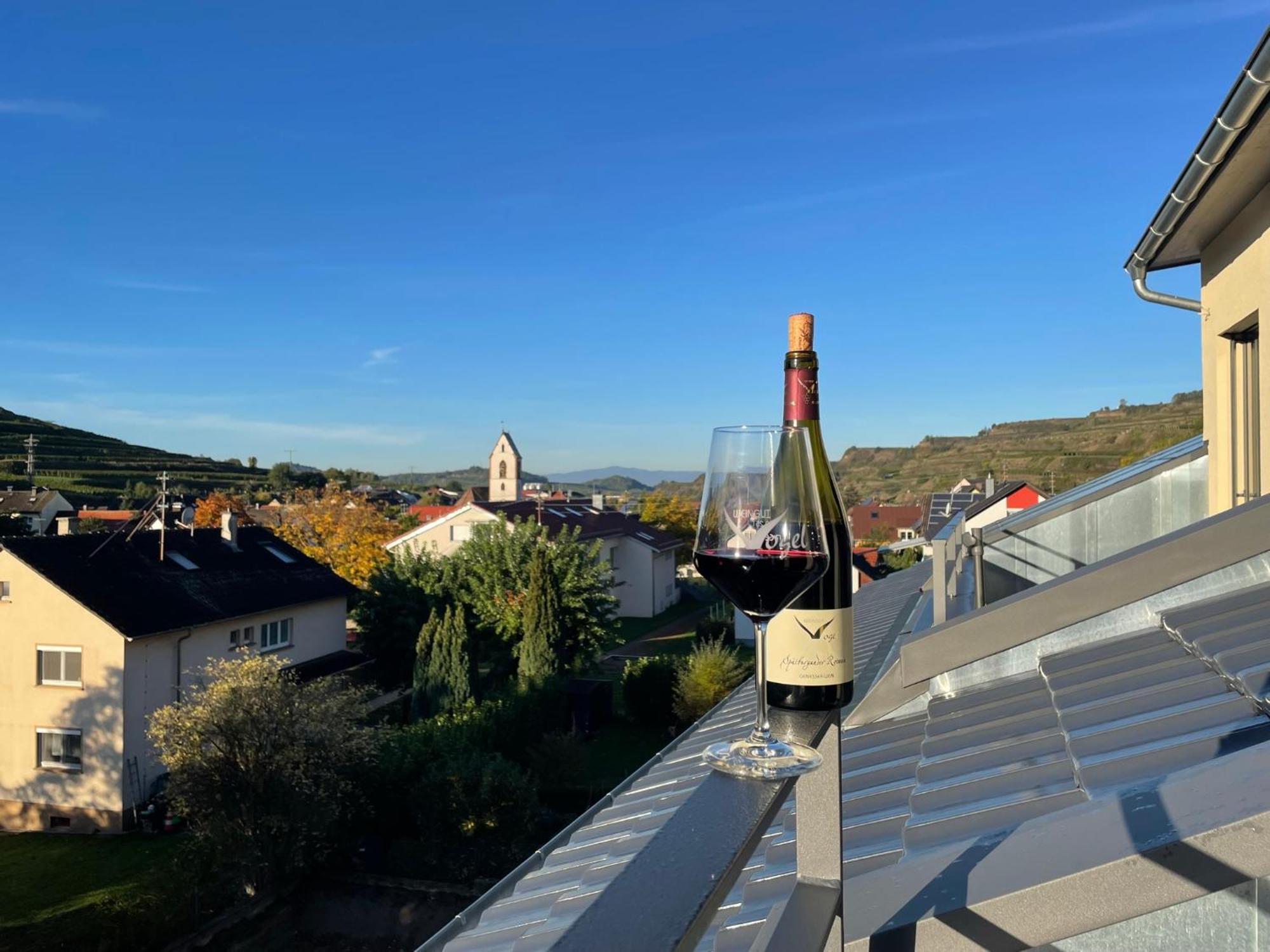 Appartement Weingut & Strausswirtschaft Vogel à Vogtsburg im Kaiserstuhl Extérieur photo