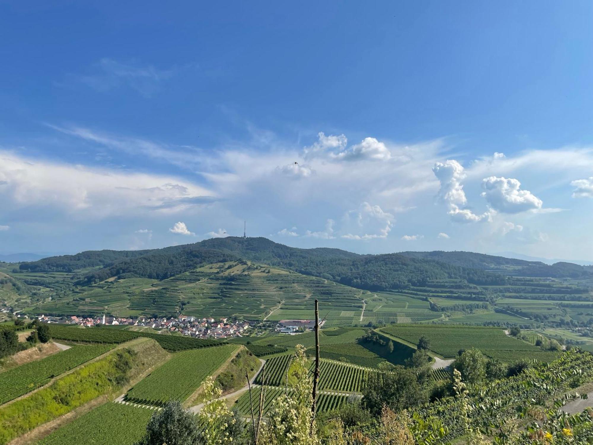 Appartement Weingut & Strausswirtschaft Vogel à Vogtsburg im Kaiserstuhl Extérieur photo