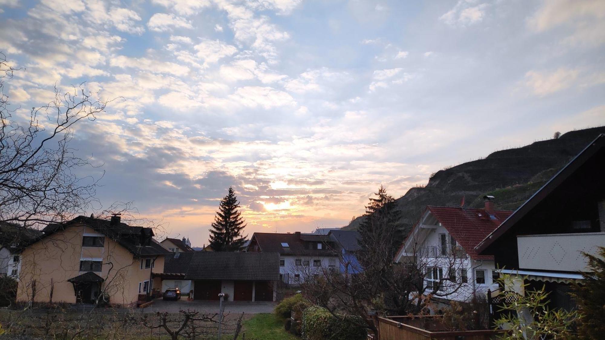 Appartement Weingut & Strausswirtschaft Vogel à Vogtsburg im Kaiserstuhl Extérieur photo
